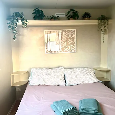 Coqueta Casita